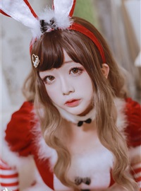 Sun Nai Jiao C35.006 Christmas rabbit(15)